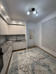 ��������� �������� ������, ��������� �-�, ����������, 196/1 ���� 5