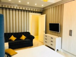 ��������� �������� ������, ������������� �-�, ���-������, 21 ���� 7