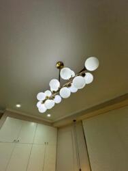 ��������� �������� ������, ������������� �-�, ����������, 14� ���� 11