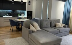 ��������� �������� ������, ��������� �-�, ��� ������, 11 ���� 5