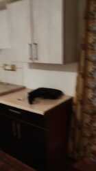 Продается квартира Алматы, Бостандыкский р-н, Радостовца Басенова фото 3 Продается квартира Алматы, Бостандыкский р-н, Радостовца Басенова фото 3