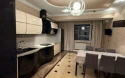 ��������� �������� ������, ������������� �-�, ���������, 81 ���� 11