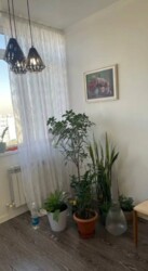 Продается квартира Алматы, Бостандыкский р-н, мкр. Хан Тенгри , Кенесары Хана, 54//21 фото 3 Продается квартира Алматы, Бостандыкский р-н, мкр. Хан Тенгри , Кенесары Хана, 54//21 фото 3