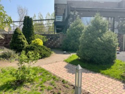 ��������� �������� ������, ������������� �-�, ��������� ������, 152 ���� 25