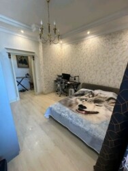 ��������� �������� ������, ������������� �-�, ���-������, 21 ���� 8