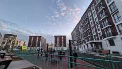 ��������� �������� ������, ���������� �-�, ��� �������, 9 �4 ���� 23