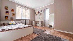 ���� ����� ���� 15