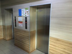 ��������� �������� ������, ������������� �-�, ������, 24 ���� 5