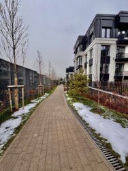 ��������� �������� ������, ��������� �-�, ����� ���������, 191����1 ���� 20