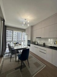 ��������� �������� ������, ������������� �-�, ��������, 233 ���� 5