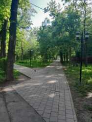 ��������� �������� ������, ����������� �-�, ��������, 162 ���� 15