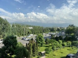 3-��������� �������� � 120 �² � 10/13 ����, ���-������ 101 ���� 19