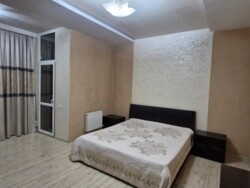 ��������� �������� ������, ����������� �-�, �������������, 163 ���� 6