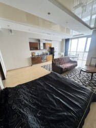 ��������� �������� ������, ����������� �-�, �������������, 163 ���� 1