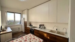 ��������� �������� ������, ������������� �-�, ����������, 91 ���� 3