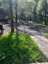 ��������� �������� ������, ����������� �-�, ��������, 162 ���� 17