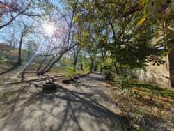 ��������� �������� ������, ������������� �-�, �������, 23 ���� 33