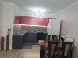 ��������� �������� ������, ����������� �-�, �������������, 167 ���� 1