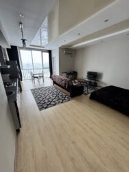 ��������� �������� ������, ����������� �-�, �������������, 163 ���� 2