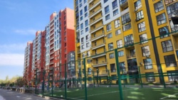 ��������� �������� ������, ����������� �-�, ����������, 14 ���� 3