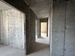 ��������� �������� ������, ���������� �-�, ���������, 259 ���� 1