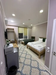 ��������� �������� ������, ������������� �-�, ��������, 311 ���� 1