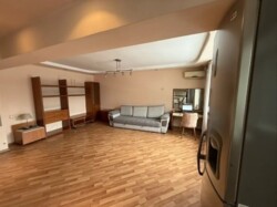 ��������� �������� ������, ����������� �-�, ��������, 163 ���� 3