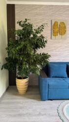 ��������� �������� ������, ����������� �-�, ����������, 91 ���� 4