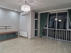 ��������� �������� ������, ����������� �-�, �������������, 163 ���� 3