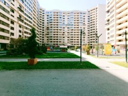 ��������� �������� ������, ����������� �-�, �������, 20/10 ���� 2