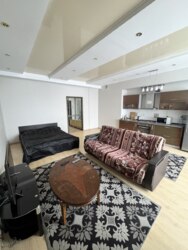 ��������� �������� ������, ����������� �-�, �������������, 163 ���� 4