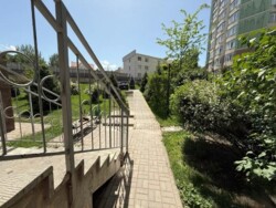 ��������� �������� ������, ������������� �-�, �������� ����, 54 ���� 2