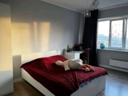 ��������� �������� ������, ����������� �-�, �����������, 43 ���� 12