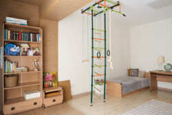 ��������� �������� ������, ������������� �-�, ���������, 81 ���� 26