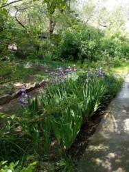 2-комнатная квартира · 44.7 м² · 1/4 этаж, Гагарина 135к — Тимирязева Гагарина фото 11 2-комнатная квартира · 44.7 м² · 1/4 этаж, Гагарина 135к — Тимирязева Гагарина фото 11