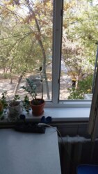 1-��������� �������� � 34 �² � 2/4 ���� ���������� 200� ���� 2