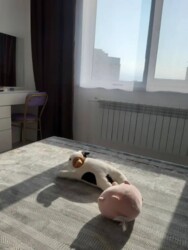 3-комнатная квартира · 125 м² · 10/15 этаж, Толе би 273а — Толеби Варламова фото 8 3-комнатная квартира · 125 м² · 10/15 этаж, Толе би 273а — Толеби Варламова фото 8