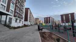 ��������� �������� ������, ���������� �-�, ��� �������, 9 �4 ���� 15