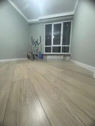 ��������� �������� ������, ������������� �-�, ����, 164 ���� 14