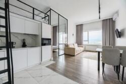 ��������� �������� ������, ������������� �-�, ��������, 245 ���� 1