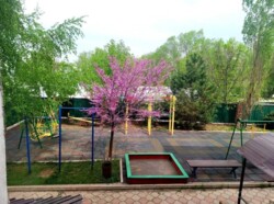 Продается квартира Алматы, Наурызбайский р-н, мкр. Тастыбулак, Таутаган, 11 фото 9 Продается квартира Алматы, Наурызбайский р-н, мкр. Тастыбулак, Таутаган, 11 фото 9