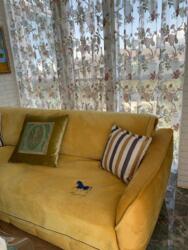 ��������� �������� ������, ��������� �-�, ���������, 2 ���� 6