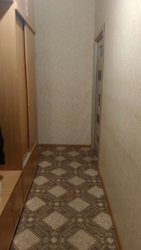 ��������� �������� ������������� ���., �����, 29-� ���, 8 ���� 15