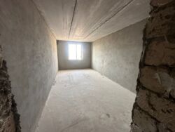 ��������� �������� ������������� ���., �����, 29-� ���, 103 ���� 3