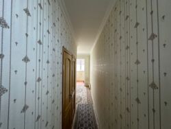 ��������� �������� ������������� ���., �����, 27-� ���, 80 ���� 8