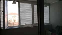 ��������� �������� ������������� ���., �����, 29-� ���, 26 ���� 4