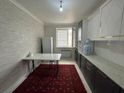 ��������� �������� ������������� ���., �����, 31� ���, 31�, 24 ���� 3