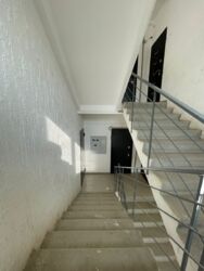 ��������� �������� ������������� ���., �����, 20-� ���, 17 ���� 12