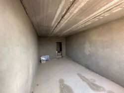 ��������� �������� ������������� ���., �����, 29-� ���, 103 ���� 8