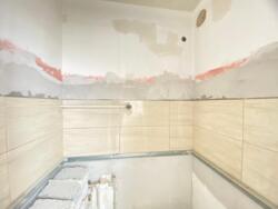 ��������� �������� ������������� ���., �����, 15-� ���, 12 � ���� 5